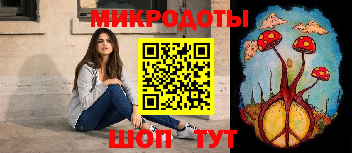 Братск  как найти   Вход с VPN  Галлюциногенные грибы Psilocybe 